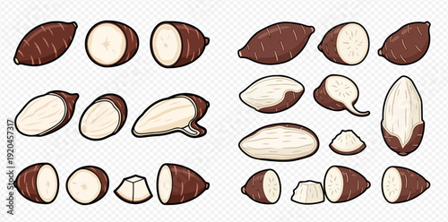 Set of fresh cassava root illustration.