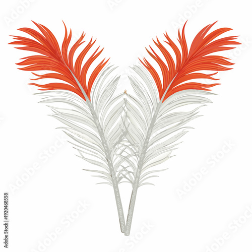 Two ornate feather plumes one red and one white facing each other