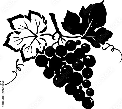 Minimalist Sumi-e Illustration of a Grape Cluster with Brush Str
