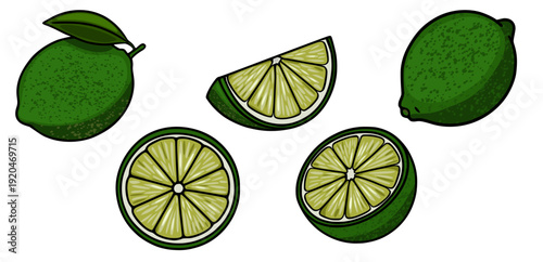Set of vibrant green limes, whole and sliced, vector illustration