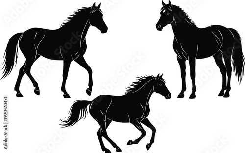 Horse silhouette vector set with standing and running poses, black majestic stallion illustration isolated on white background