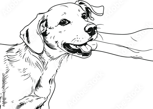 Modern minimalist contour art of a dog playfully biting sleeve of human in friendly way, no aggression, white background 1