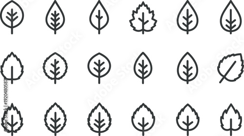 A set of 16 black and white leaf icons isolated on transparent background