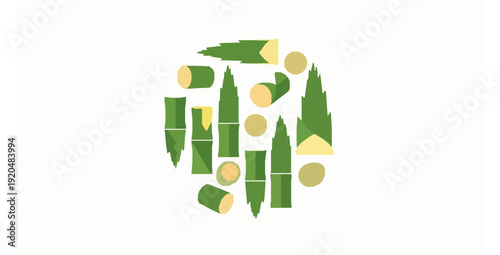 Minimal bamboo shoot vector set isolated on white background
