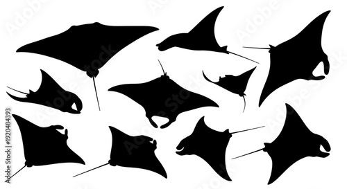 Group of Manta Rays Silhouetted Against a White Background, Vector Illustration