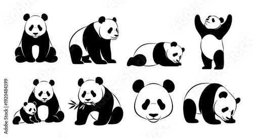 Collection of panda illustrations in various poses and actions, showcasing different emotions and behaviors