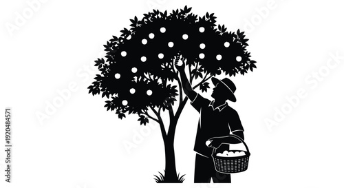 A person harvests apples from a tree depicted in a striking black and white silhouette high quality professional detailed modern elegant