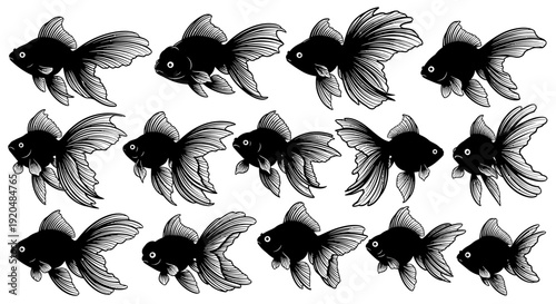 Collection of black goldfish illustrations in various orientations on a clean white background viewed from the side