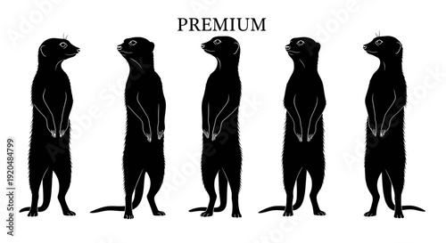 Five meerkat silhouettes standing upright in a row, facing right, showcasing their unique posture and social behavior in a graphic illustration