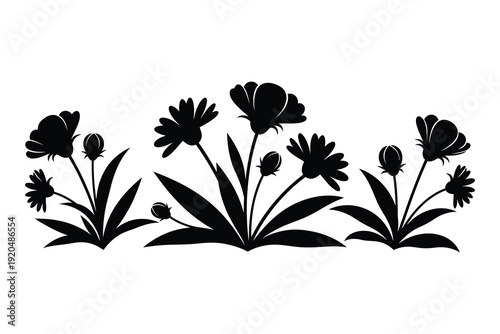 Black silhouette of wildflowers on white background