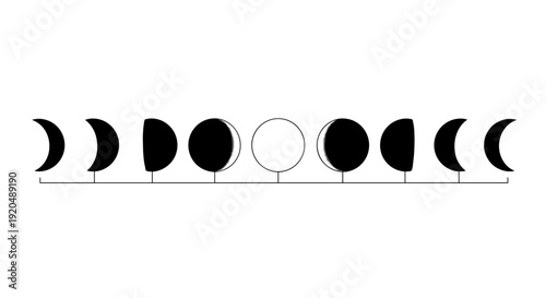 Phases of the Moon Cycle.