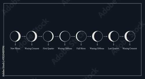 Phases of the Moon Cycle.