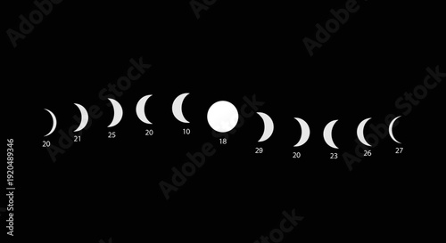 Phases of the Moon Cycle.