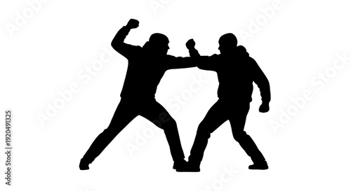 Silhouette Fight: A powerful image capturing the raw intensity of a fight, where two figures engage in a fierce confrontation, their silhouettes standing out boldly.