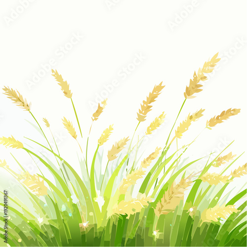 Golden wheat field under bright sunlight with green grass, creating a vibrant natural scene