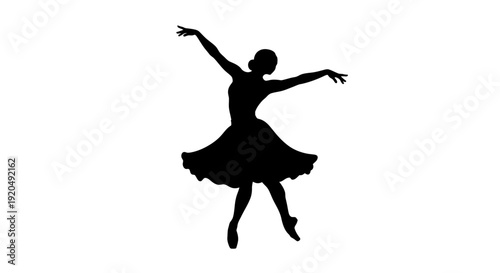 Ballerina Silhouette: A silhouette of a graceful ballerina enchants in a dance of elegance and poise. Her movements depict a world of ethereal beauty and the power of artistic expression. 