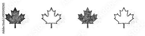 Sketch maple leaf icon design set