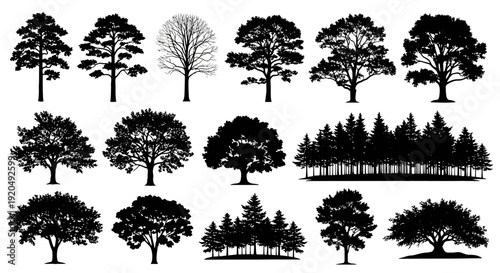 Tree Silhouette Collection: Forest, Oak, Pine, and Deciduous