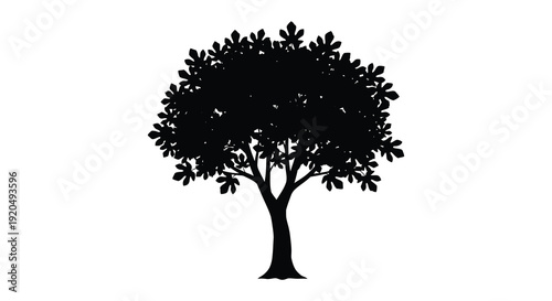 A stark black silhouette of a fully leaved tree stands out against a bright white background silhouette high quality