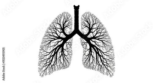 Human Lungs Anatomy Detailed Illustration.