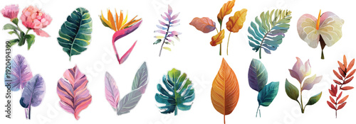 set of colorful feathers