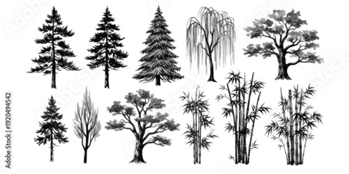 Collection of diverse trees and bamboo stalks rendered in a monochromatic style with subtle shadow details
