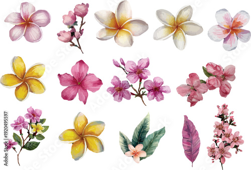 set of colorful flowers