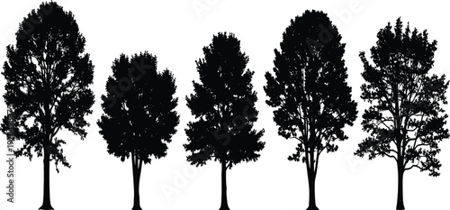 Black silhouette illustration of deciduous trees with varied canopy shapes and foliage density, ideal for forestry, landscape architecture, and environmental design projects