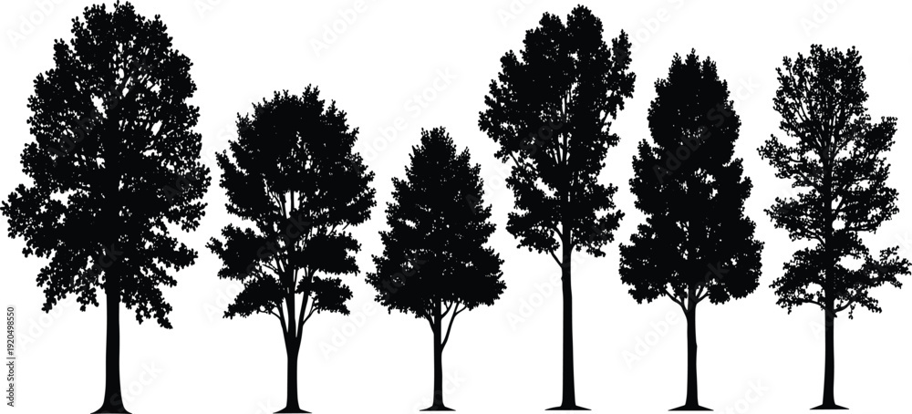 Fototapeta premium Black silhouette illustration of deciduous trees in diverse shapes and foliage patterns, perfect for forestry, landscape architecture, and environmental design projects