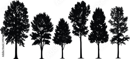 Black silhouette illustration of deciduous trees in diverse shapes and foliage patterns, perfect for forestry, landscape architecture, and environmental design projects