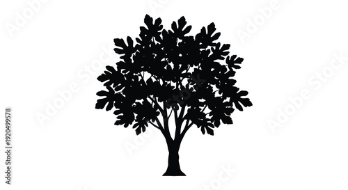 A striking black silhouette of a lush rounded tree with detailed foliage against a stark white background silhouette
