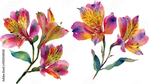 watercolor flowers watercolor painting