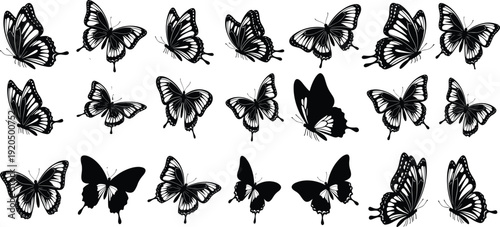 Collection of twenty butterfly silhouette illustrations with diverse wing shapes and patterns, perfect for nature, entomology, decorative, and design projects