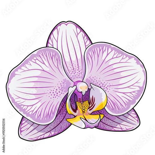 Wallpaper Mural Elegant purple orchid flower with delicate yellow center in full bloom Torontodigital.ca