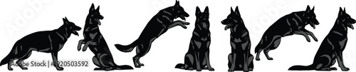 German Shepherd dog silhouettes collection in multiple poses and actions, isolated on white background working canine breed concept
