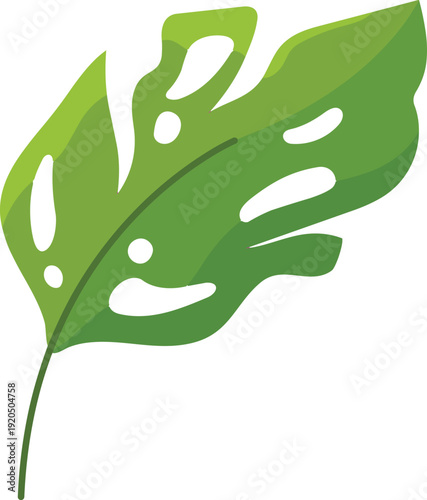 Beautiful green monstera leaf tropical plant vector element