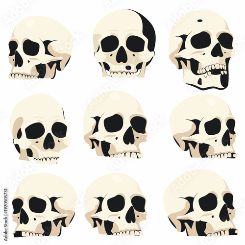Set of nine human skull illustrations in vector style for conceptual projects