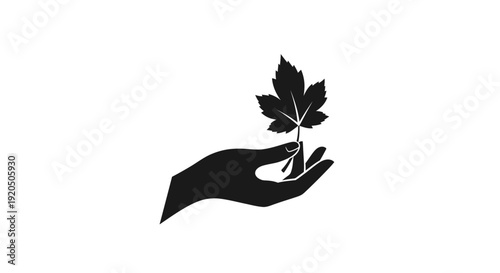 Hand Holding Small Leafy Plant Silhouette.