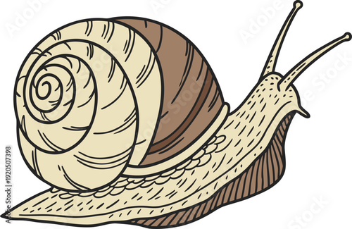 Snail Slow Moving Animal Illustration. Garden Snail Nature Wildlife Concept. Realistic Snail Shell Closeup Design. Cute Snail Cartoon Character Theme. Forest Snail Natural Habitat Scene
