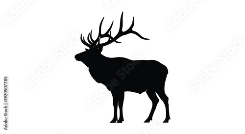 A striking black silhouette of a majestic elk stands prominently against a completely white background silhouette high quality professional