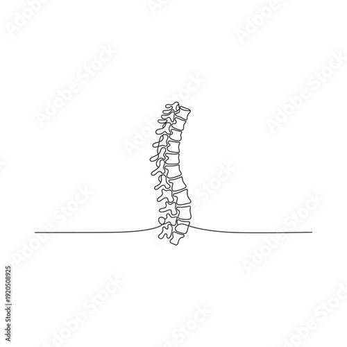 Tableau sur toile A minimalist line drawing depicts a human spine showcasing its complex structure