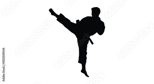 A dynamic black silhouette depicts a martial artist executing a powerful roundhouse kick with focused energy silhouette high quality