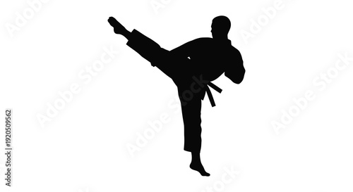 A dynamic black silhouette depicts a martial artist executing a powerful side kick with focused energy silhouette high quality