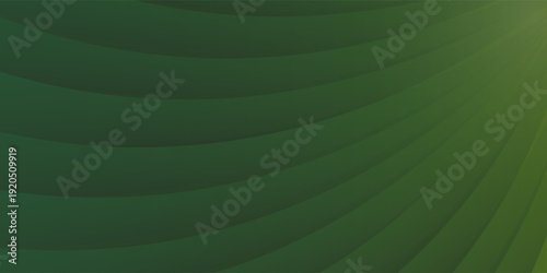 natural tropical green leaf palm leaf texture close up. vector