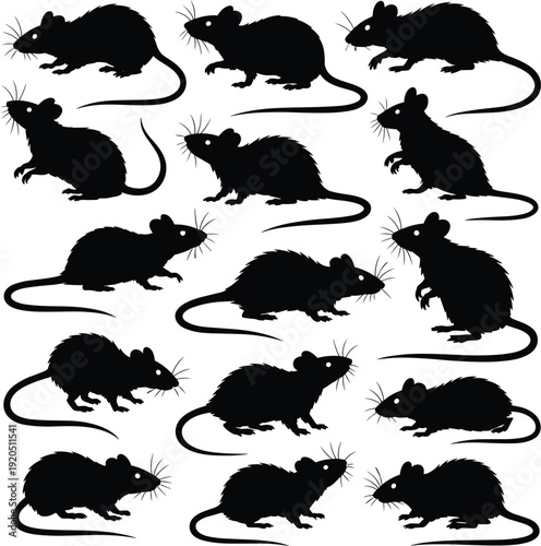 Collection of black rat silhouettes in various poses, detailed rodent vector illustration set isolated on white background for pest control and wildlife design