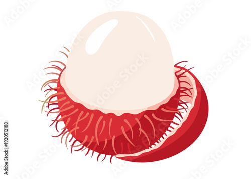 Rambutan fruit illustration with red hairy exterior and white interior.