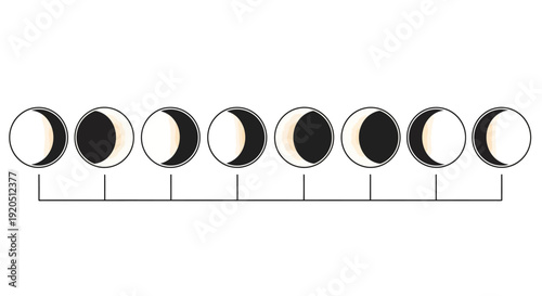 Set of Moon Phases, Lunar Cycle Progression in Black and White, Isolated White Background.