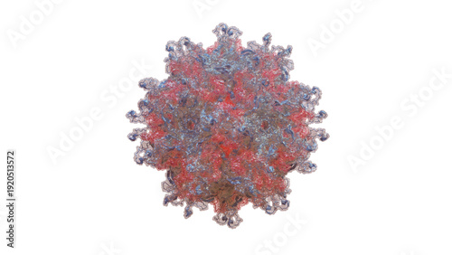 Scientifically Accurate Human Papillomavirus (HPV) type 16 capsid – icosahedral symmetry quasisymmetry 72-mer L1/L2 Protein 3D render Semi-Transparent showing internal circular DNA Cryo-EM Structure.