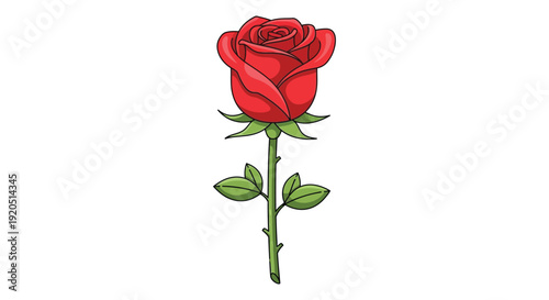 A vibrant detailed illustration of a single red rose with green leaves and stem presented as a silhouette high quality professional