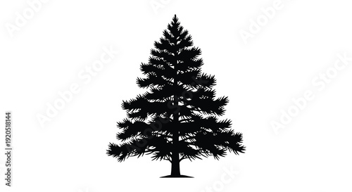 A striking black silhouette of a fully grown evergreen tree against a plain white background silhouette high quality professional
